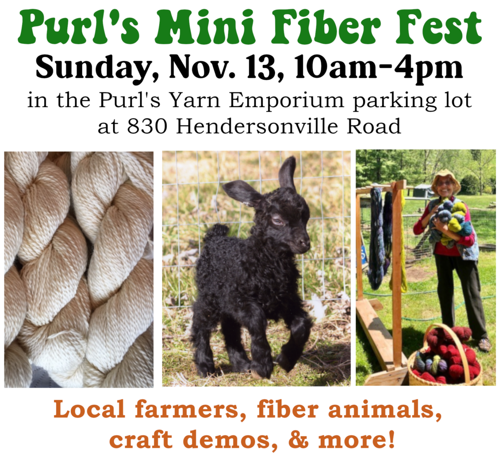 Purls Mini Fiber Fest – Purl's Yarn Emporium